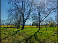 A proximité de Soumoulou, Terrain constructible 1200 m² environ avec un hangar de 80 m² — photo 2