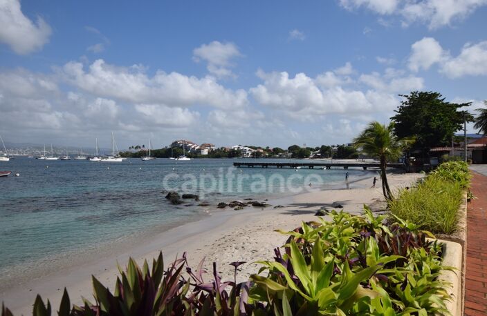 LES TROIS-ÎLETS – ANSE MITAN – STUDIO VUE MER – PLAGE À 3 MIN À PIED (972) — photo 5