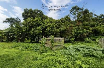 A vendre - Terrain plat de 729 m² – Ajoupa-Bouillon – Secteur Adinet — photo du bien