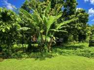 A vendre - Terrain plat de 729 m² – Ajoupa-Bouillon – Secteur Adinet — photo 2