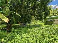 A vendre - Terrain plat de 729 m² – Ajoupa-Bouillon – Secteur Adinet — photo 3