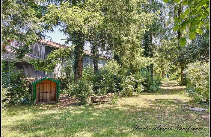 Maison à vendre 7 pièces THENEZAY (79) - 148 m² - 3 ch - Terrain de 1655 m² — photo 4