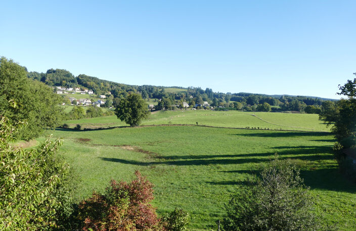 Maison 6 chambres avec 4600m2 de jardin, grand sous-sol, possibilité de vie en plain-pied (Calvinet-Puycapel, 15) — photo 5