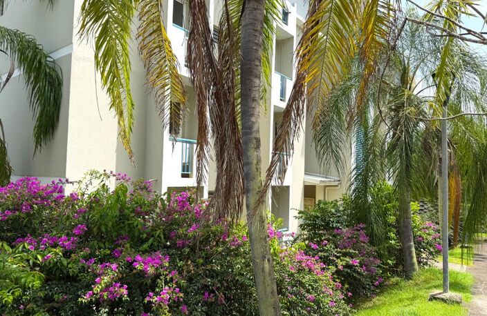 SCHŒLCHER / Proche Cluny — T3 agreable avec terrasse, vue dégagée & garage À Vendre — photo 2