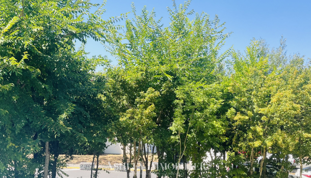 Appartement 1 pièces  à vendre Rochelle (La) 17000