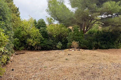 Terrain  370000 €