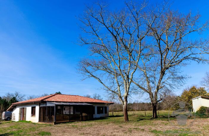 Airial landais rénové sur plus d’1 hectare — photo 2