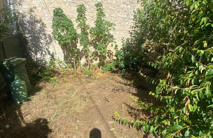 Maison studio de 17m2, Niort, secteur hopital. — photo 5