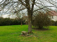 Terrain constructible 572 m2 Le Coudray sur Thelle — photo 3