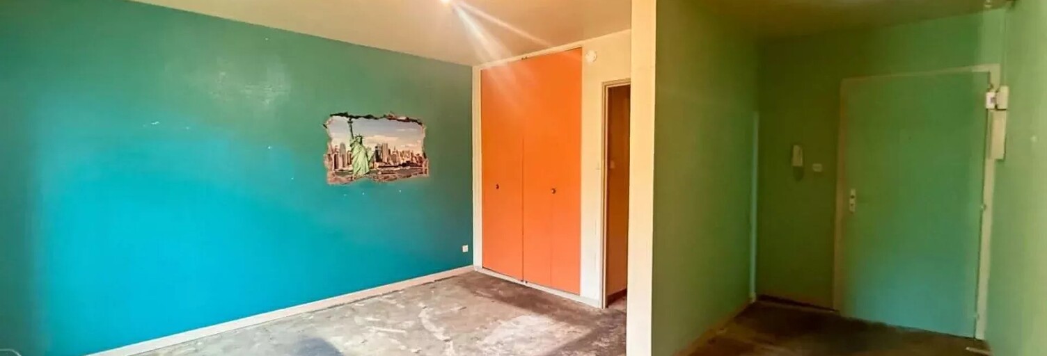 Appartement 1 Pièce 29 m² à vendre à Belfort (90000)