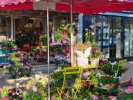 Activité commerciale Fleurs ou autre activité — photo 2