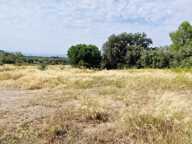 Vente Terrain à bâtir 1 466 m&sup2; — photo 4