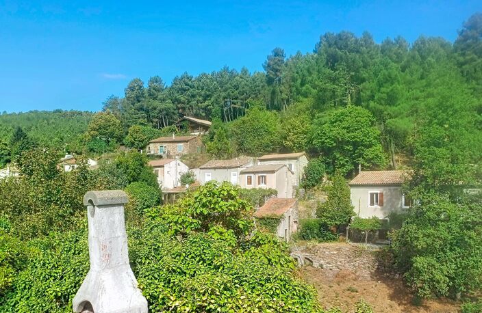 LA VERNARÈDE  Une maison pleine de charme au cœur des Cévennes — photo 3