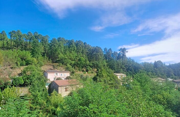 LA VERNARÈDE  Une maison pleine de charme au cœur des Cévennes — photo 4