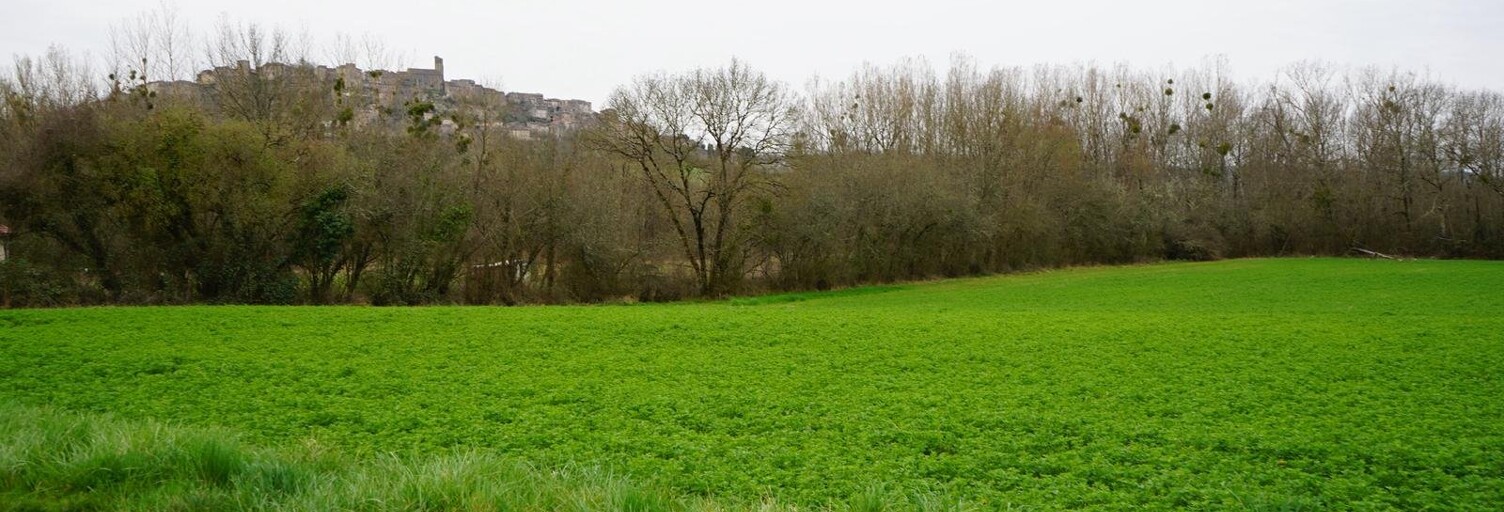 Terrain  10000 m² à vendre à Cordes-sur-Ciel (81170)