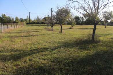 Terrain  33000 €
