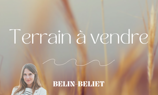 Terrain  600 m² à vendre à Belin-Béliet (33830)