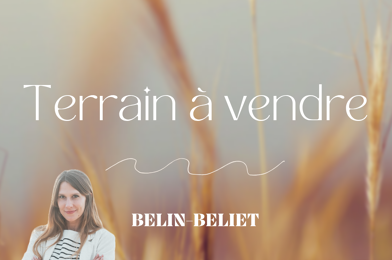 Terrain  145000 €