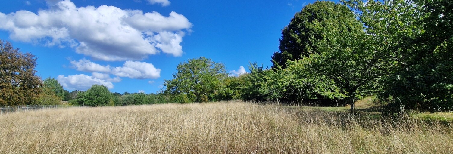 Terrain  6589 m² à vendre à Sers (16410)