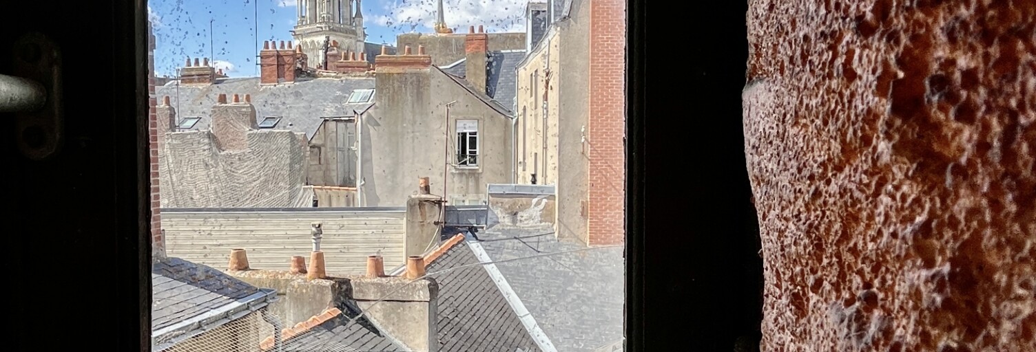 Appartement 4 Pièces 72 m² à vendre à Nantes (44000)