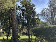 La maison est belle. Le terrain est exceptionnel. — photo 2