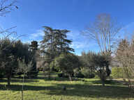 La maison est belle. Le terrain est exceptionnel. — photo 3