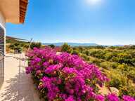 FIGARI , VILLA CONTEMPORAINE AVEC POTENTIEL INDÉPENDANT — photo 3