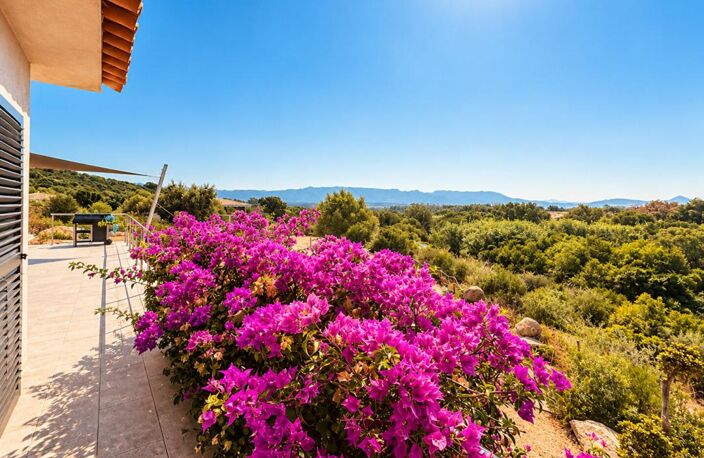 FIGARI , VILLA CONTEMPORAINE AVEC POTENTIEL INDÉPENDANT — photo 3