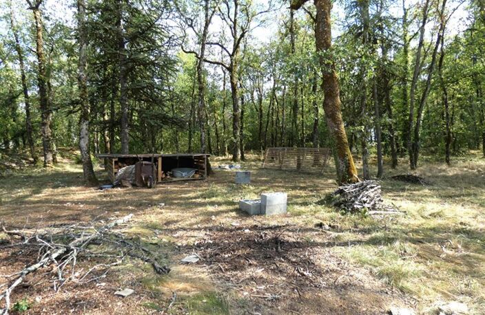 Maison bois 25 m2 / terrain boisé 2185m² — photo 3