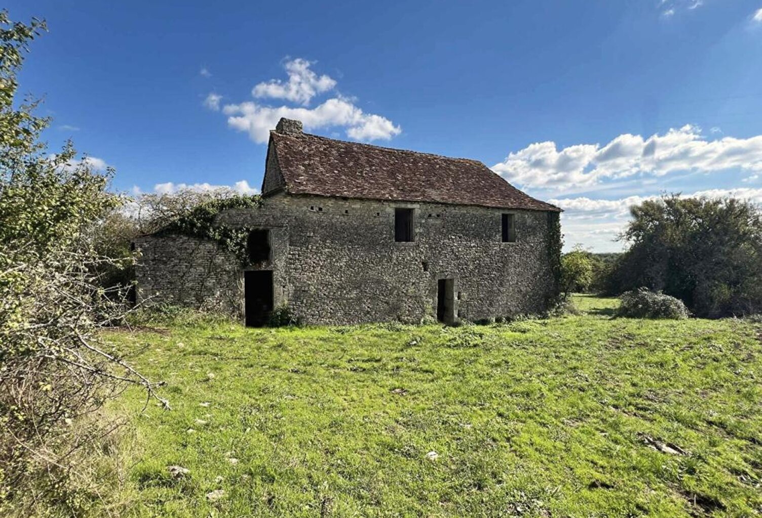 Maison de maître Excideuil 5 pièce(s) 150 m2 et ses 36ha de terres — photo 1