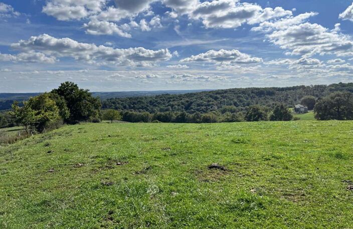 Maison de maître Excideuil 5 pièce(s) 150 m2 et ses 36ha de terres — photo 2