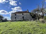 Maison de maître Excideuil 5 pièce(s) 150 m2 et ses 36ha de terres — photo 3