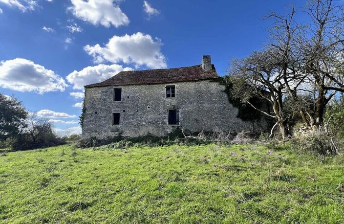Maison de maître Excideuil 5 pièce(s) 150 m2 et ses 36ha de terres — photo 3