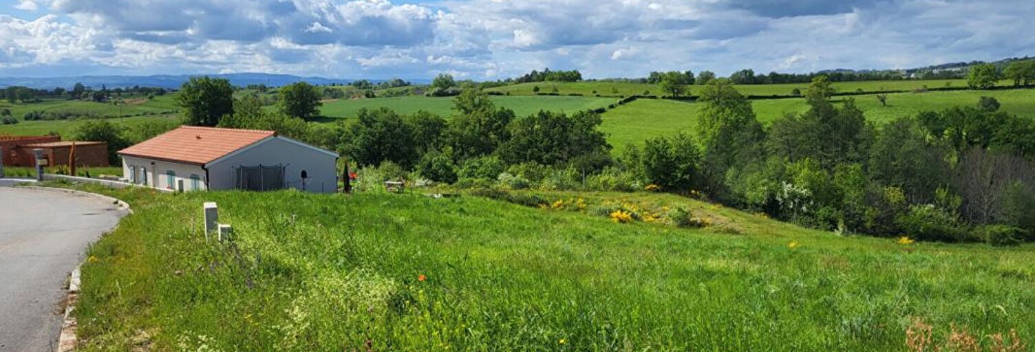 Terrain  733 m² à vendre à Saint-Marcel-de-Félines (42122)