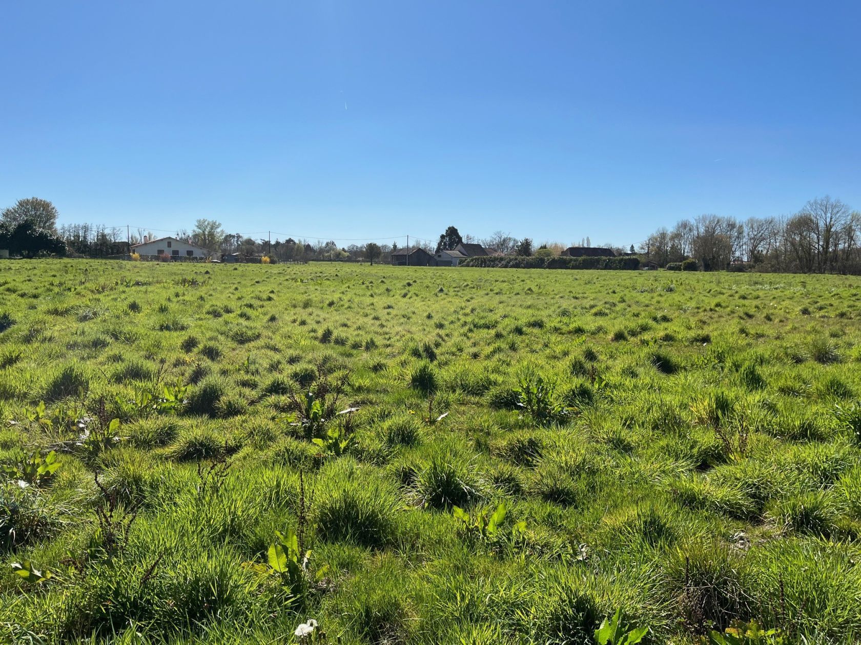 Terrain à bâtir de 1250 m² à LA FORCE (24)