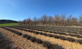 Terrain  650 m² à vendre à Roumoules (04500)