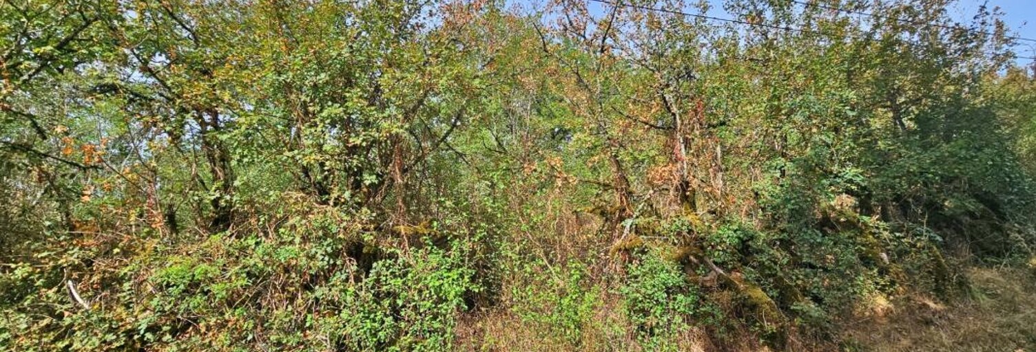 Terrain  1109 m² à vendre à Azerat (24210)