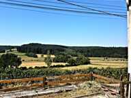 A VENDRE-MAISON ANCIENNE A RENOVER- 80 000.euros FAI — photo 2