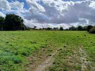 Terrain à bâtir à Marsac-sur-l'Isle (24430) — photo 2