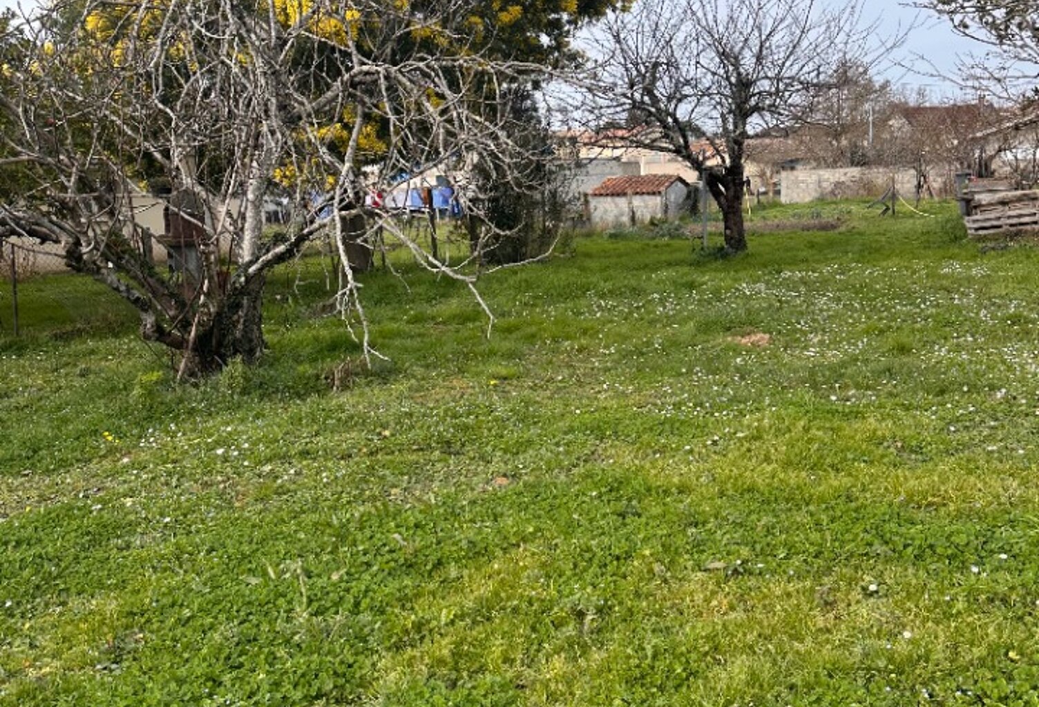 Terrain à bâtir à Génissac (33420) — photo 1
