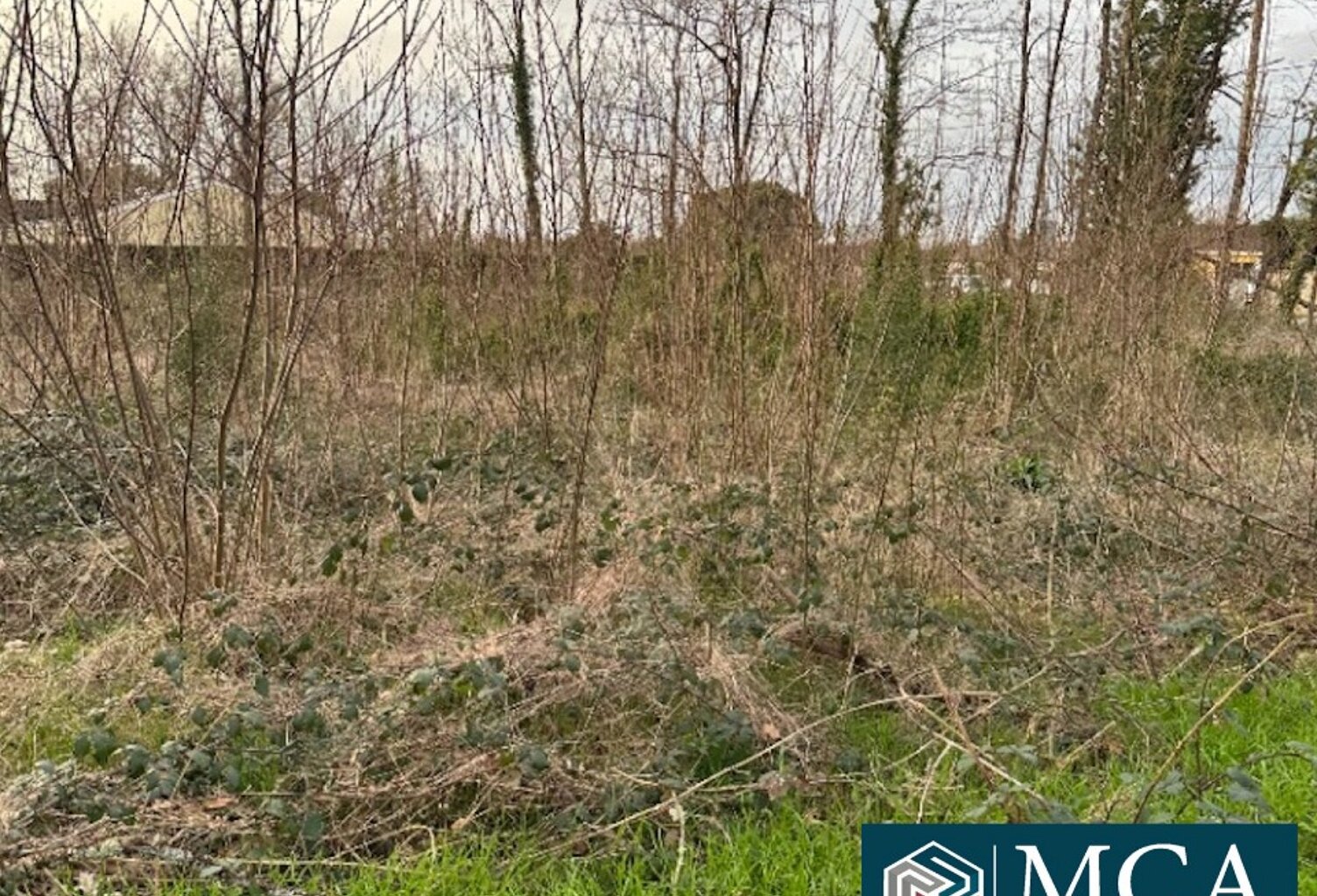 Terrain à bâtir à Saint-Denis-de-Pile (33910) — photo 1