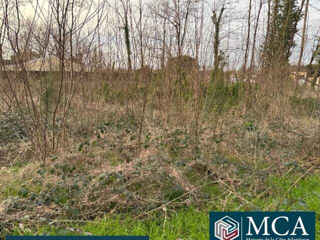 Terrain à bâtir à Saint-Denis-de-Pile (33910) — photo du bien