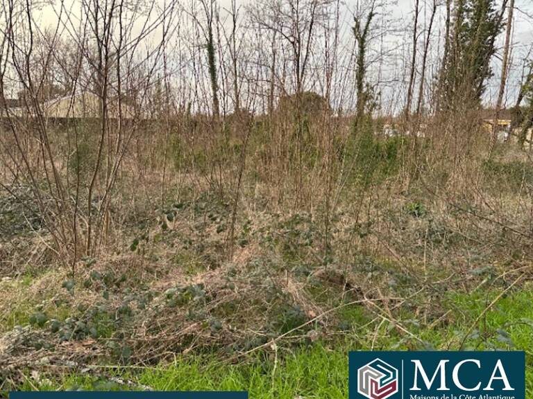 Terrain à bâtir à Saint-Denis-de-Pile (33910) — photo 1