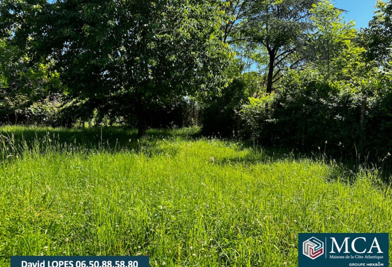Terrain à bâtir à Branne (33420) — photo 1