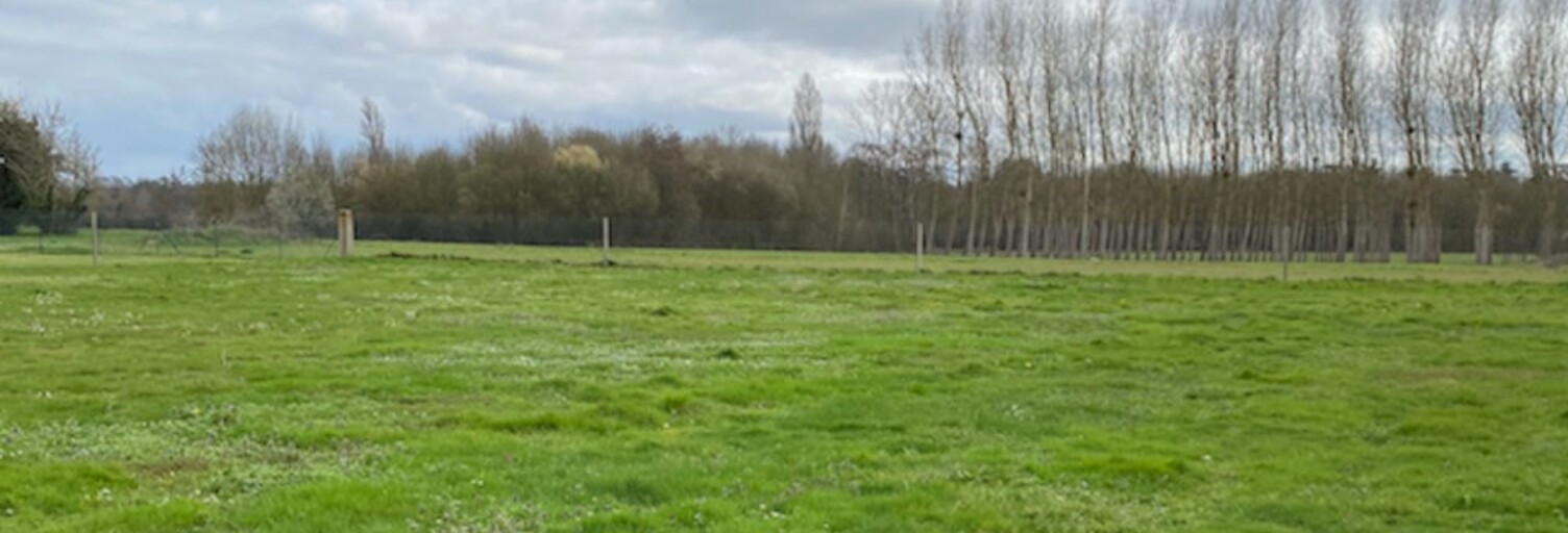 Terrain  1400 m² à vendre à Blasimon (33540)