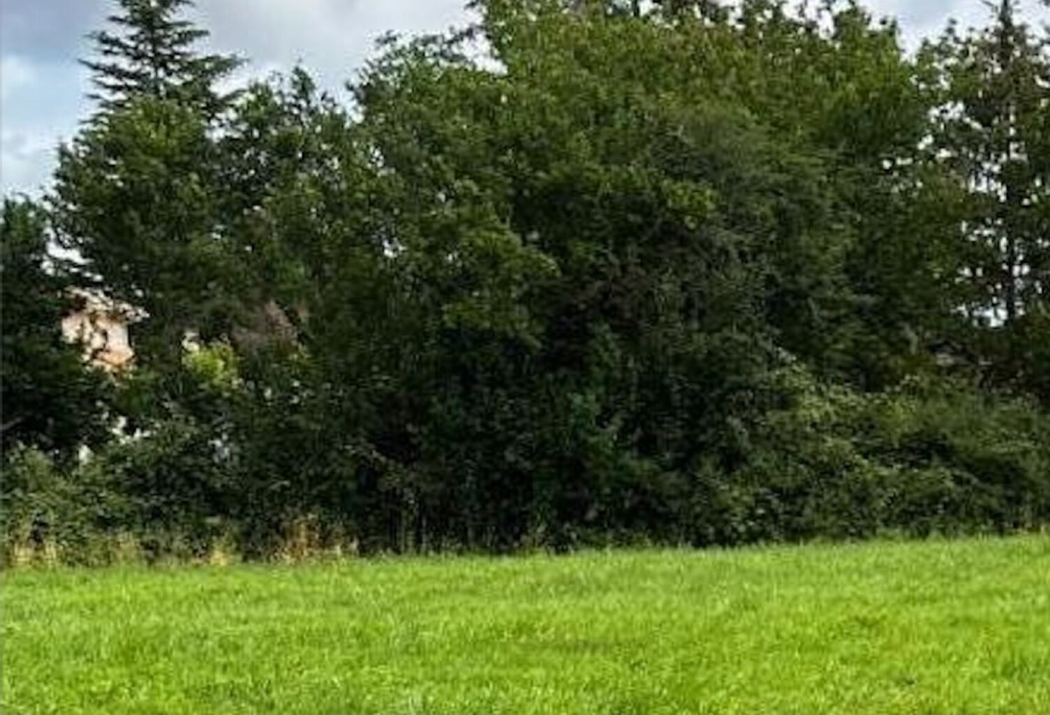 Terrain à bâtir à Pineuilh (33220) — photo 1