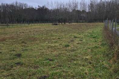 Terrain  74000 €