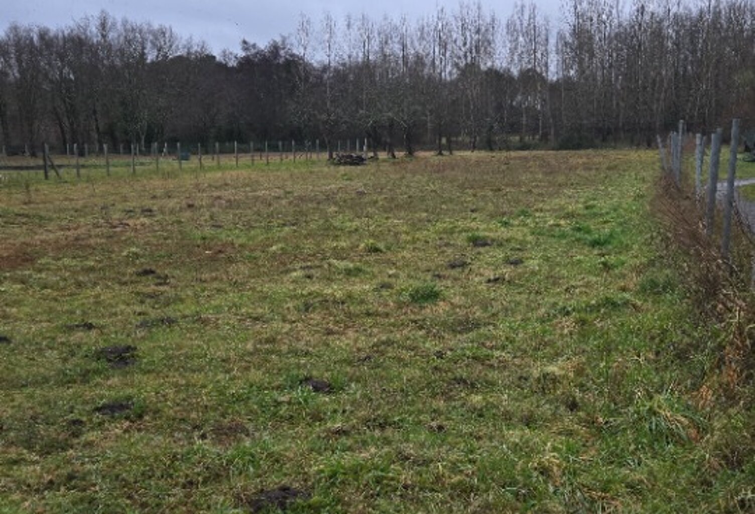 Terrain à bâtir à Gauriaguet (33240) — photo 1