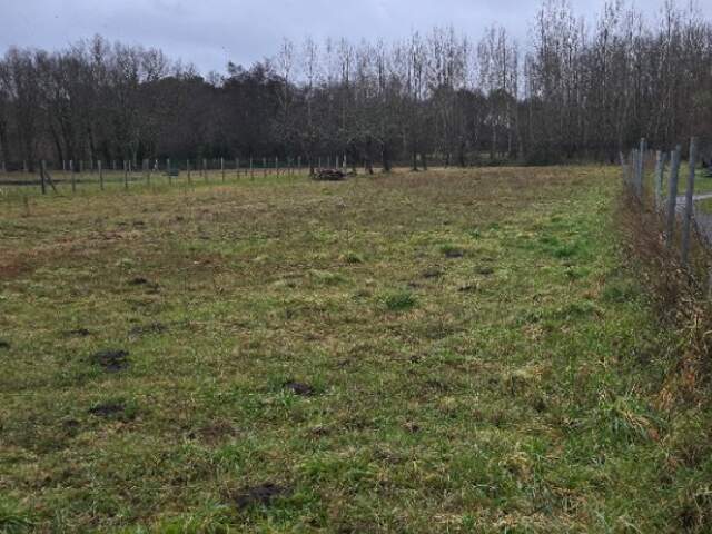 Terrain à bâtir à Gauriaguet (33240) — photo du bien