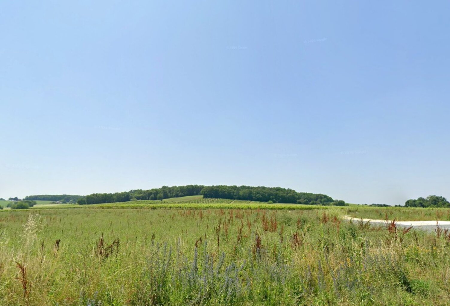Terrain à bâtir à Sigoulès-et-Flaugeac (24240) — photo 1